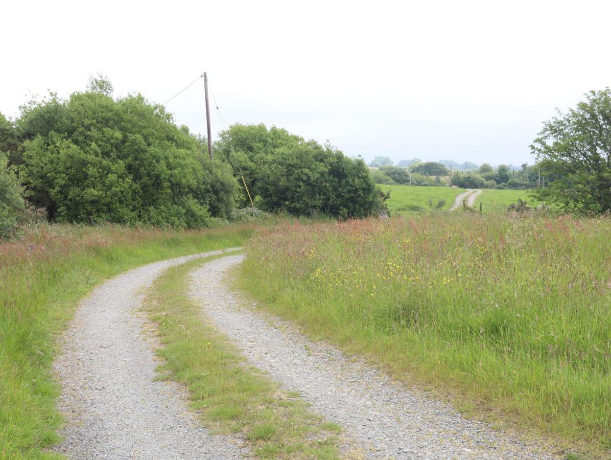 Tan Y Bryn Villa Pwllheli Dış mekan fotoğraf